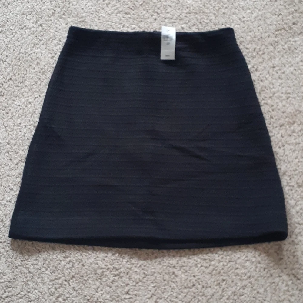 NWT ANN TAYLOR petites sz 4p stretch skirt